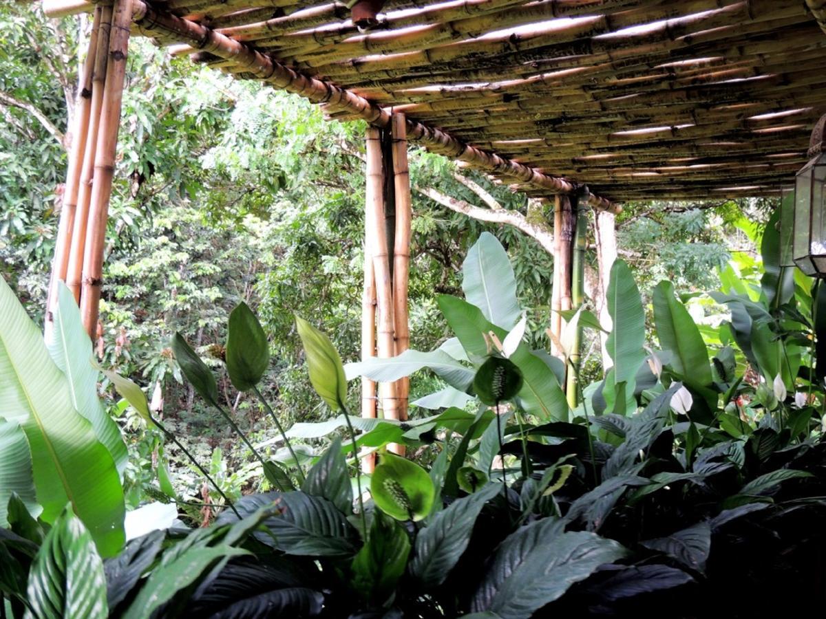 Sitio Alto Da Montanha - Voce Em Paz Com A Natureza Villa Pacoti Eksteriør bilde