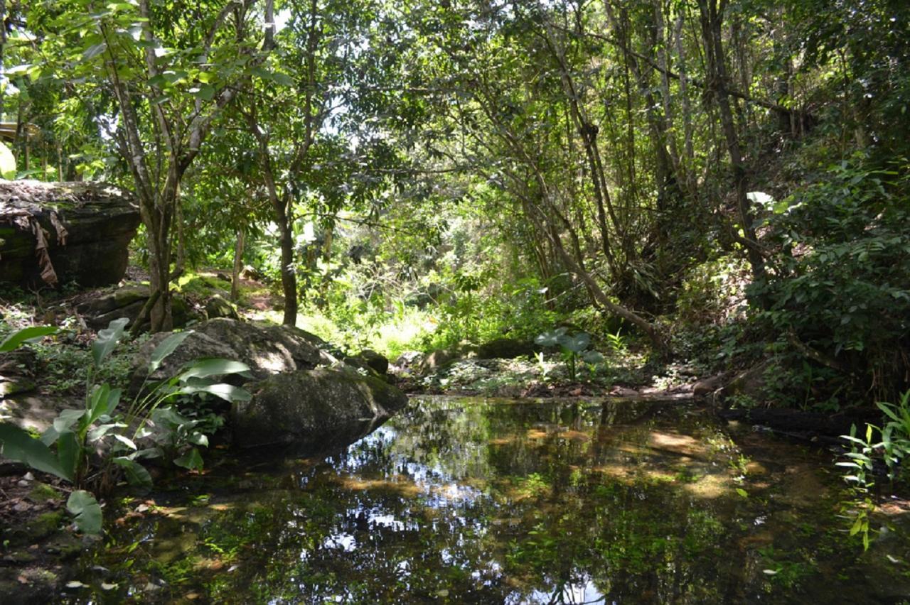 Sitio Alto Da Montanha - Voce Em Paz Com A Natureza Villa Pacoti Eksteriør bilde