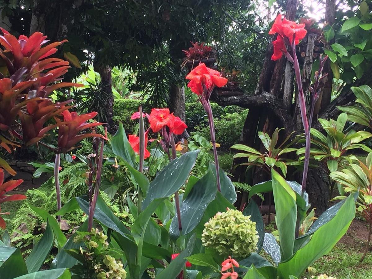 Sitio Alto Da Montanha - Voce Em Paz Com A Natureza Villa Pacoti Eksteriør bilde